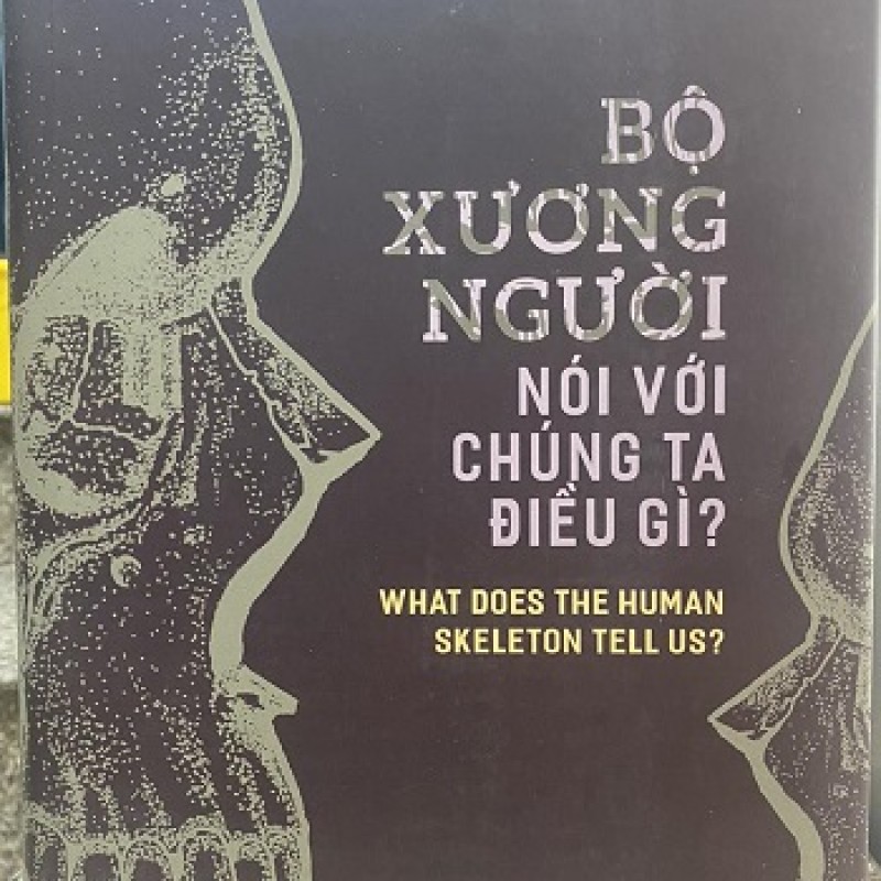 Bộ Xương Người Nói Với Chúng Ta Điều Gì? – Hành Trình Khám Phá Những Bí Mật Được Lưu Giữ Trong Xương Cốt