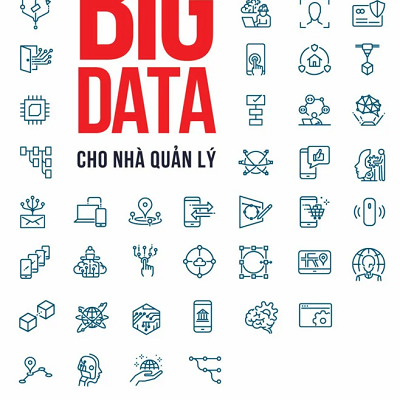 Big data cho nhà quản lý