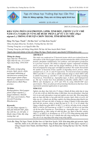 Khả năng phân giải protein, lipid, tinh bột, chitin và ức chế nấm của vi khuẩn vùng rễ được phân lập từ cây tiêu (Piper nigrum L.) trồng ở huyện Chơn Thành, tỉnh Bình Phước