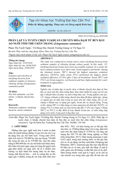 Phân lập và tuyển chọn vi khuẩn chuyển hóa đạm từ bùn đáy ao nuôi tôm thẻ chân trắng (Litopenaeus vannamei)