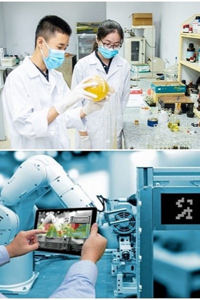 CTO - Nghiên cứu giải pháp thúc đẩy hoạt động chuyển giao, ứng dụng, đổi mới công nghệ tại thành phố Cần Thơ (2024)