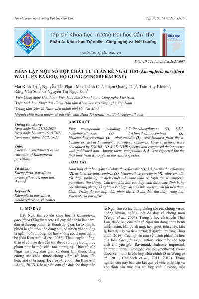 Phân lập một số hợp chất từ thân rễ ngải tím (Kaempferia parviflora Wall. ex Baker), họ gừng (Zingiberaceae)