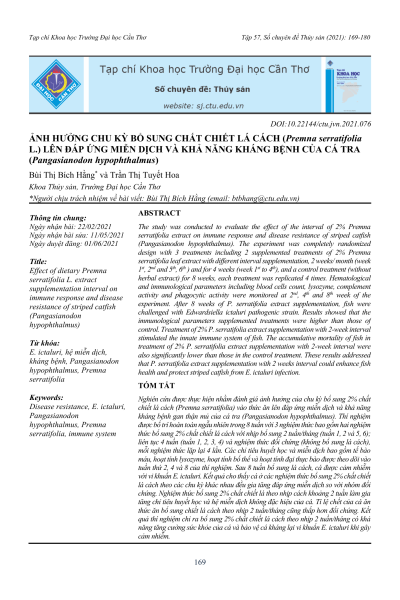 Ảnh hưởng chu kỳ bổ sung chất chiết lá cách (Premna serratifolia L.) lên đáp ứng miễn dịch và khả năng kháng bệnh của cá tra (Pangasianodon hypophthalmus)