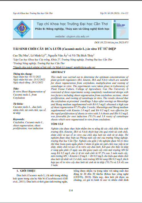 Tái sinh chồi cây dưa lưới (Cucumis melo L.) in vitro từ tử diệp
