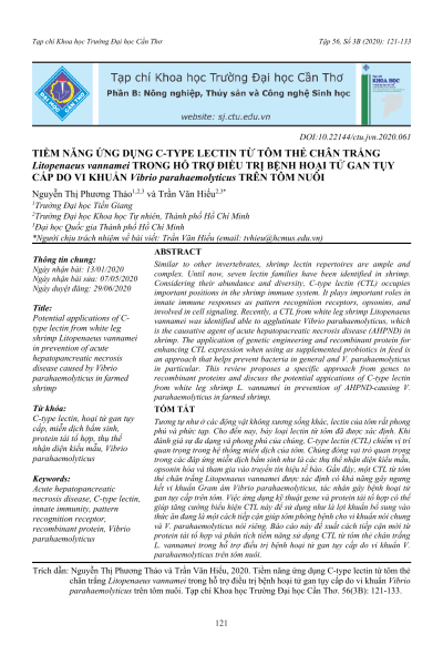Tiềm năng ứng dụng C-type lectin từ tôm thẻ chân trắng Litopenaeus vannamei trong hỗ trợ điều trị bệnh hoại tử gan tụy cấp do vi khuẩn Vibrio parahaemolyticus trên tôm nuôi