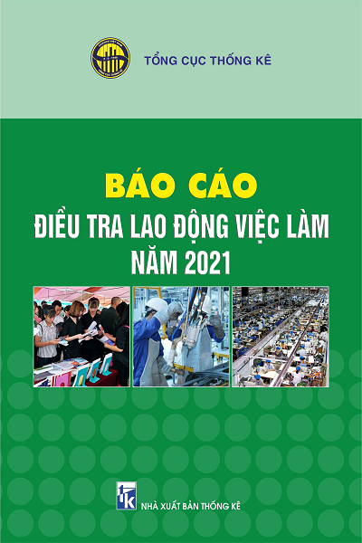 Báo cáo điều tra lao động việc làm năm 2021