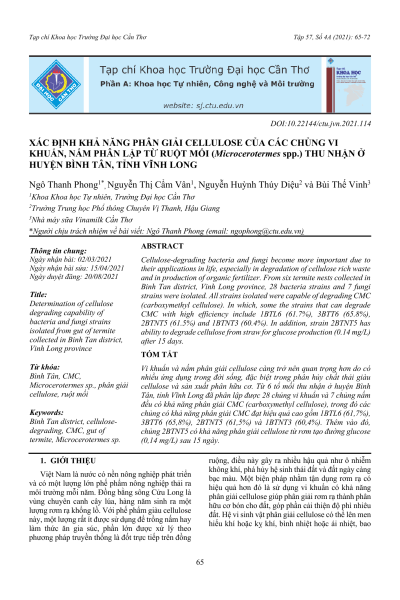 Xác định khả năng phân giải cellulose của các chủng vi khuẩn, nấm phân lập từ ruột mối (Microcerotermes spp.) thu nhận ở huyện Bình Tân, tỉnh Vĩnh Long
