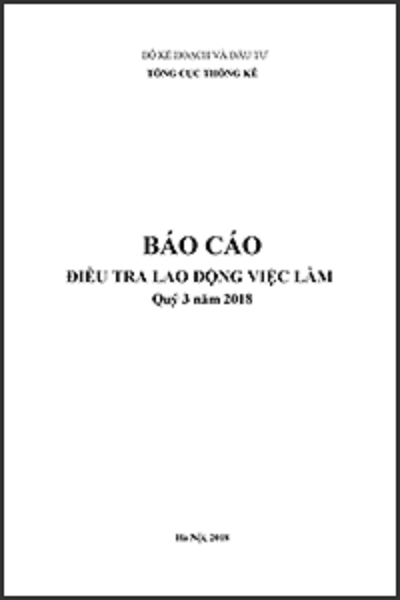 Báo cáo Điều tra lao động việc làm Quý III năm 2018