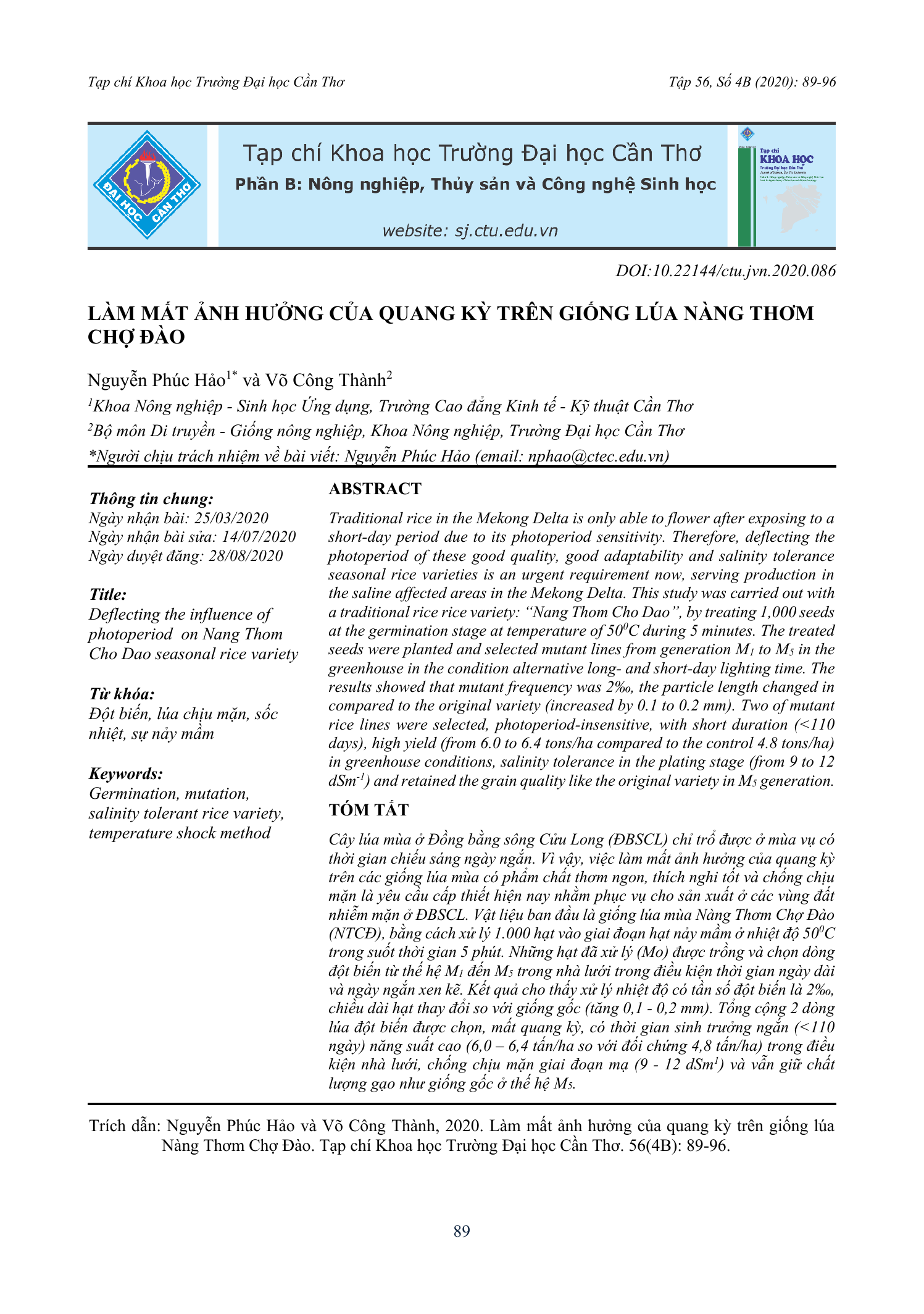 Làm mất ảnh hưởng của quang kỳ trên giống lúa Nàng Thơm Chợ Đào