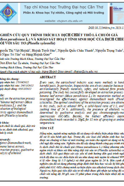 Nghiên cứu quy trình trích ly dịch chiết thô lá chuối già (Musa paradisiaca L.) và khảo sát hoạt tính sinh học của dịch chiết đối với sâu tơ (Plutella xylostella)