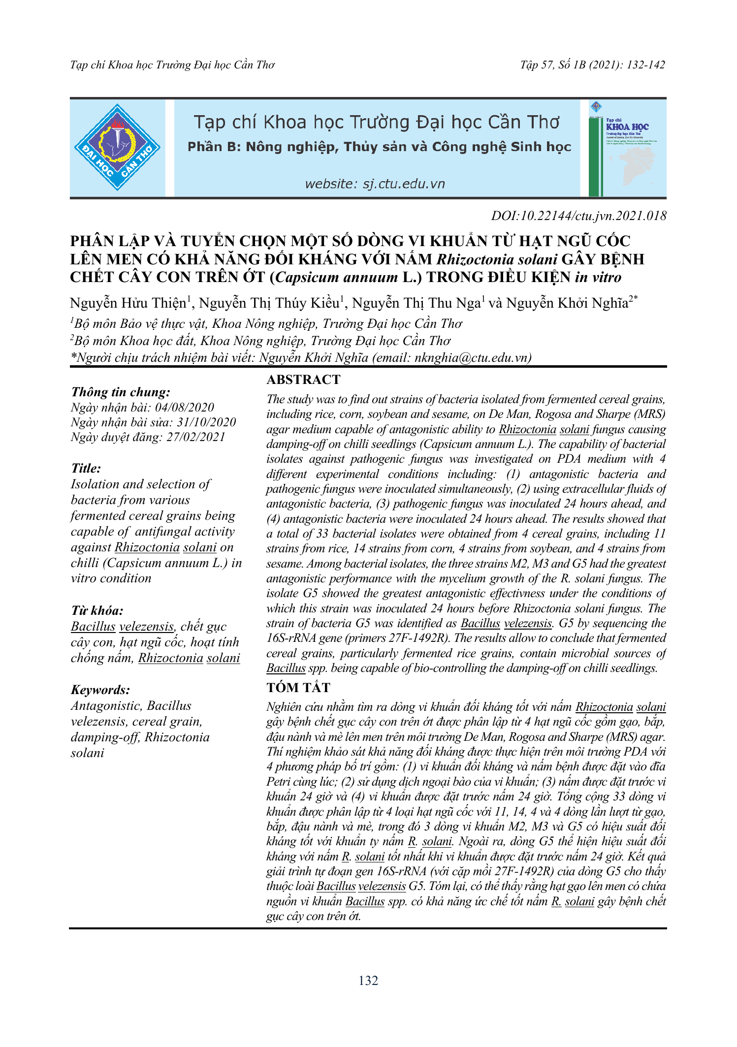 Phân lập và tuyển chọn một số dòng vi khuẩn từ hạt ngũ cốc lên men có khả năng đối kháng với nấm Rhizoctonia solani gây bệnh chết cây con trên ớt (Capsicum annuum L.) trong điều kiện in vitro