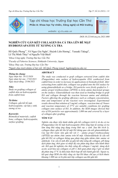 Nghiên cứu gắn kết collagen da cá tra lên bề mặt hydroxyapatite từ xương cá tra