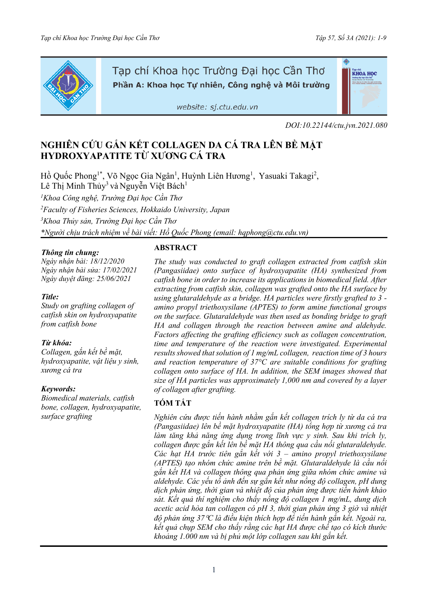 Nghiên cứu gắn kết collagen da cá tra lên bề mặt hydroxyapatite từ xương cá tra