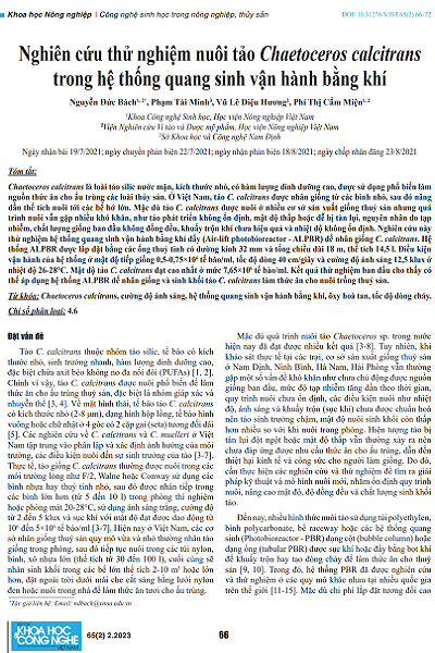 Nghiên cứu thử nghiệm nuôi tảo Chaetoceros calcitrans trong hệ thống quang sinh vận hành bằng khí