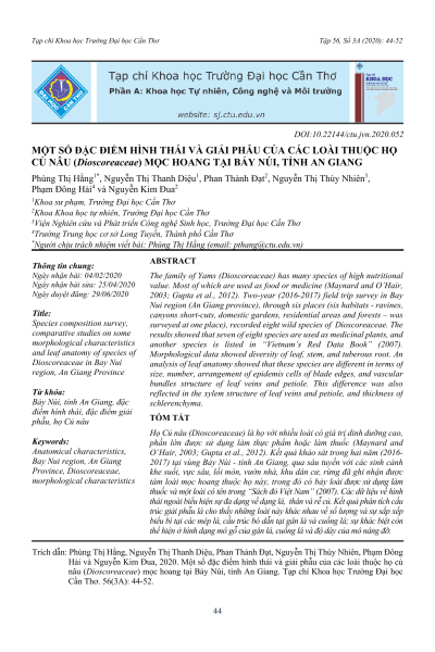 Một số đặc điểm hình thái và giải phẫu của các loài thuộc họ củ nâu (Dioscoreaceae) mọc hoang tại Bảy Núi, tỉnh An Giang