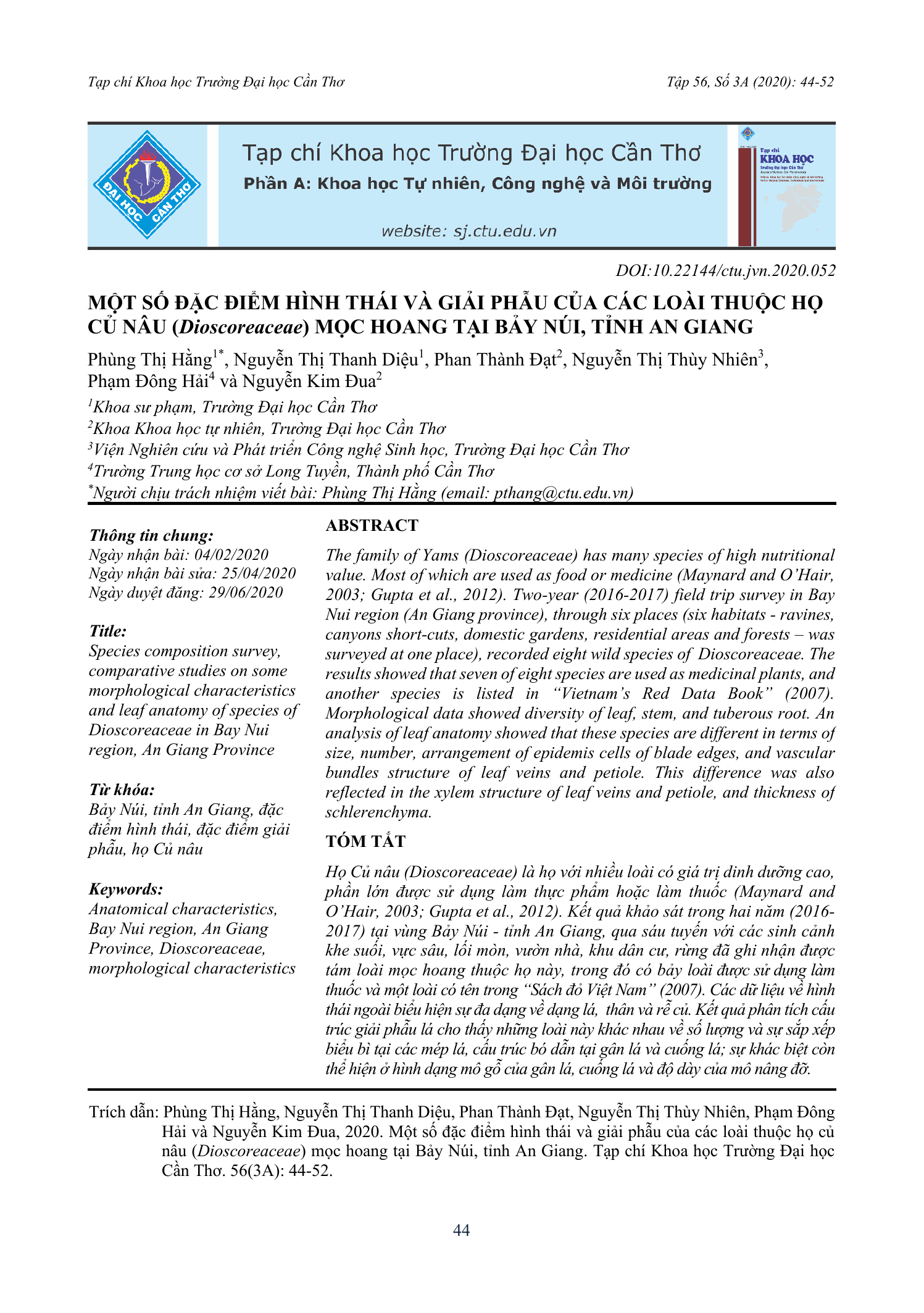 Một số đặc điểm hình thái và giải phẫu của các loài thuộc họ củ nâu (Dioscoreaceae) mọc hoang tại Bảy Núi, tỉnh An Giang