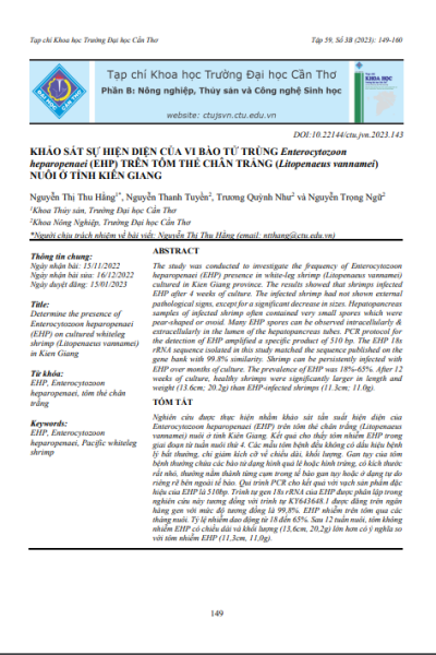 Khảo sát sự hiện diện của vi bào tử trùng Enterocytozoon heparopenaei (EHP) trên tôm thẻ chân trắng (Litopenaeus vannamei) nuôi ở tỉnh Kiên Giang