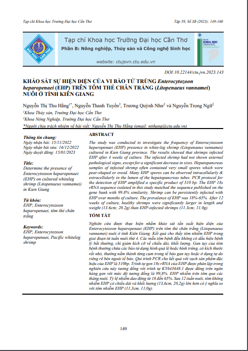 Khảo sát sự hiện diện của vi bào tử trùng Enterocytozoon heparopenaei (EHP) trên tôm thẻ chân trắng (Litopenaeus vannamei) nuôi ở tỉnh Kiên Giang