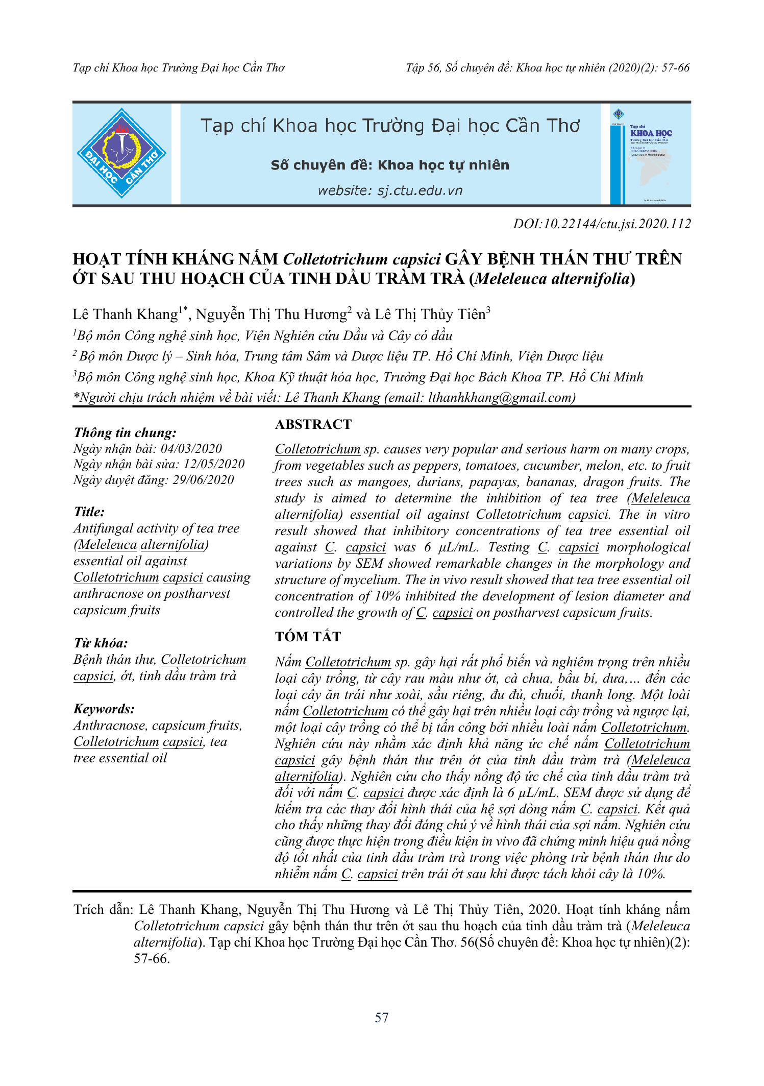 Hoạt tính kháng nấm Colletotrichum capsici gây bệnh thán thư trên ớt sau thu hoạch của tinh dầu tràm trà (Melaleuca alternifolia)