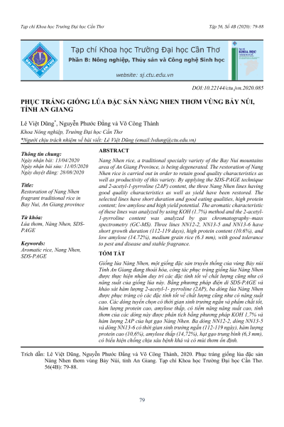 Phục tráng giống lúa đặc sản Nàng Nhen thơm vùng Bảy Núi, tỉnh An Giang