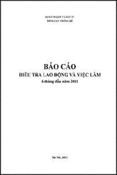 Báo cáo điều tra lao động và việc làm 6 tháng đầu năm 2011