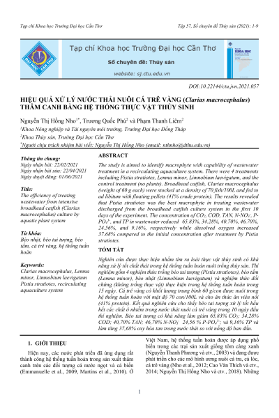 Hiệu quả xử lý nước thải nuôi cá trê vàng thâm canh bằng hệ thống thực vật thủy sinh