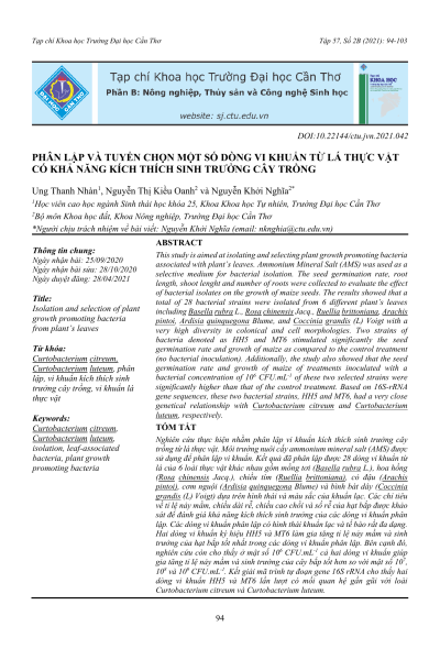 Phân lập và tuyển chọn một số dòng vi khuẩn từ lá thực vật có khả năng kích thích sinh trưởng cây trồng