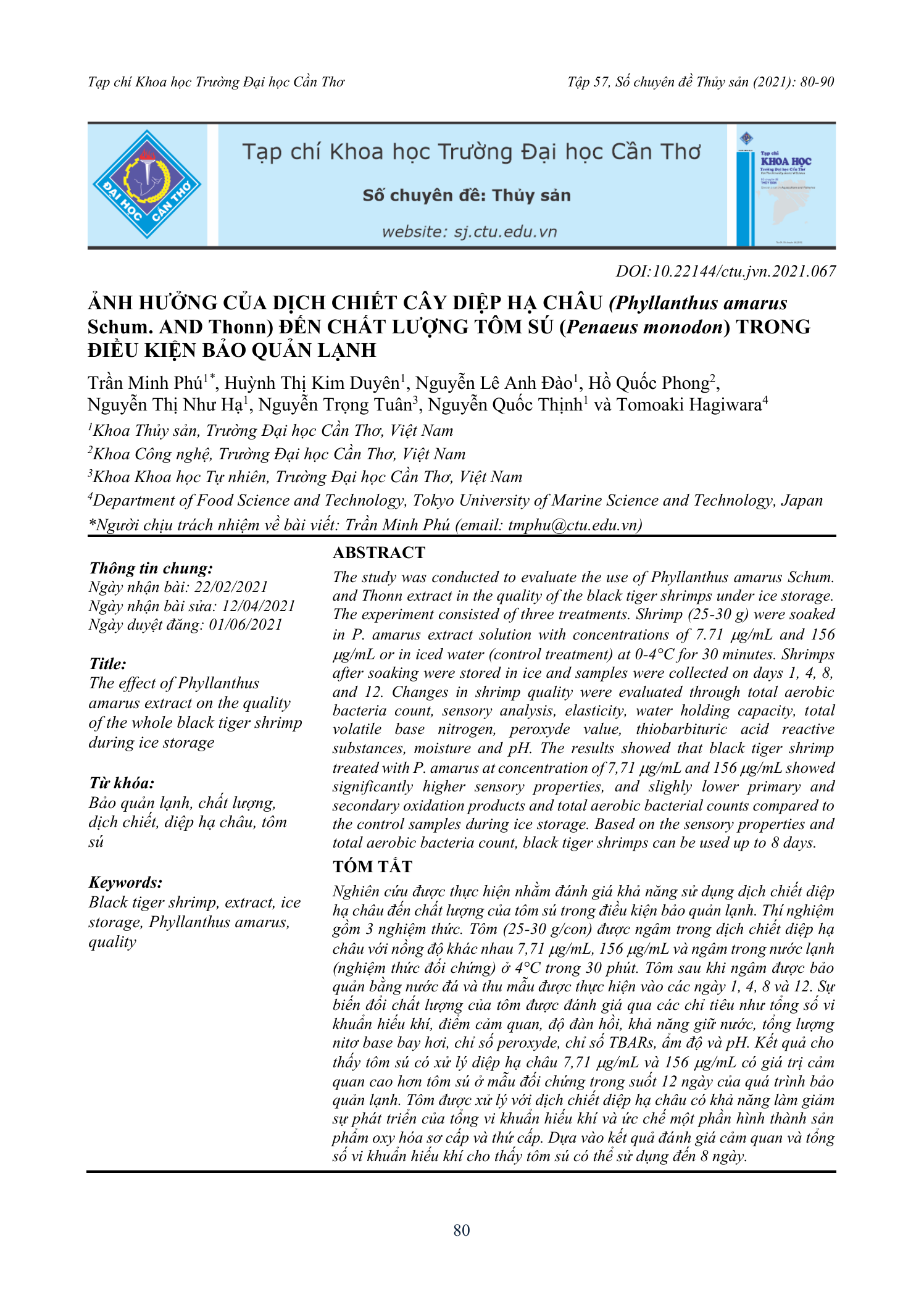 Ảnh hưởng của dịch chiết cây diệp hạ châu (Phyllanthus amarus) đến chất lượng tôm sú trong điều kiện bảo quản lạnh