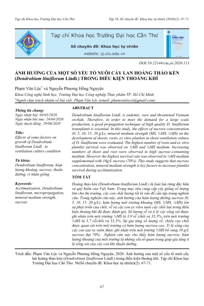 Ảnh hưởng của một số yếu tố nuôi cấy lan hoàng thảo kèn (Dendrobium lituiflorum Lindl.) trong điều kiện thoáng khí