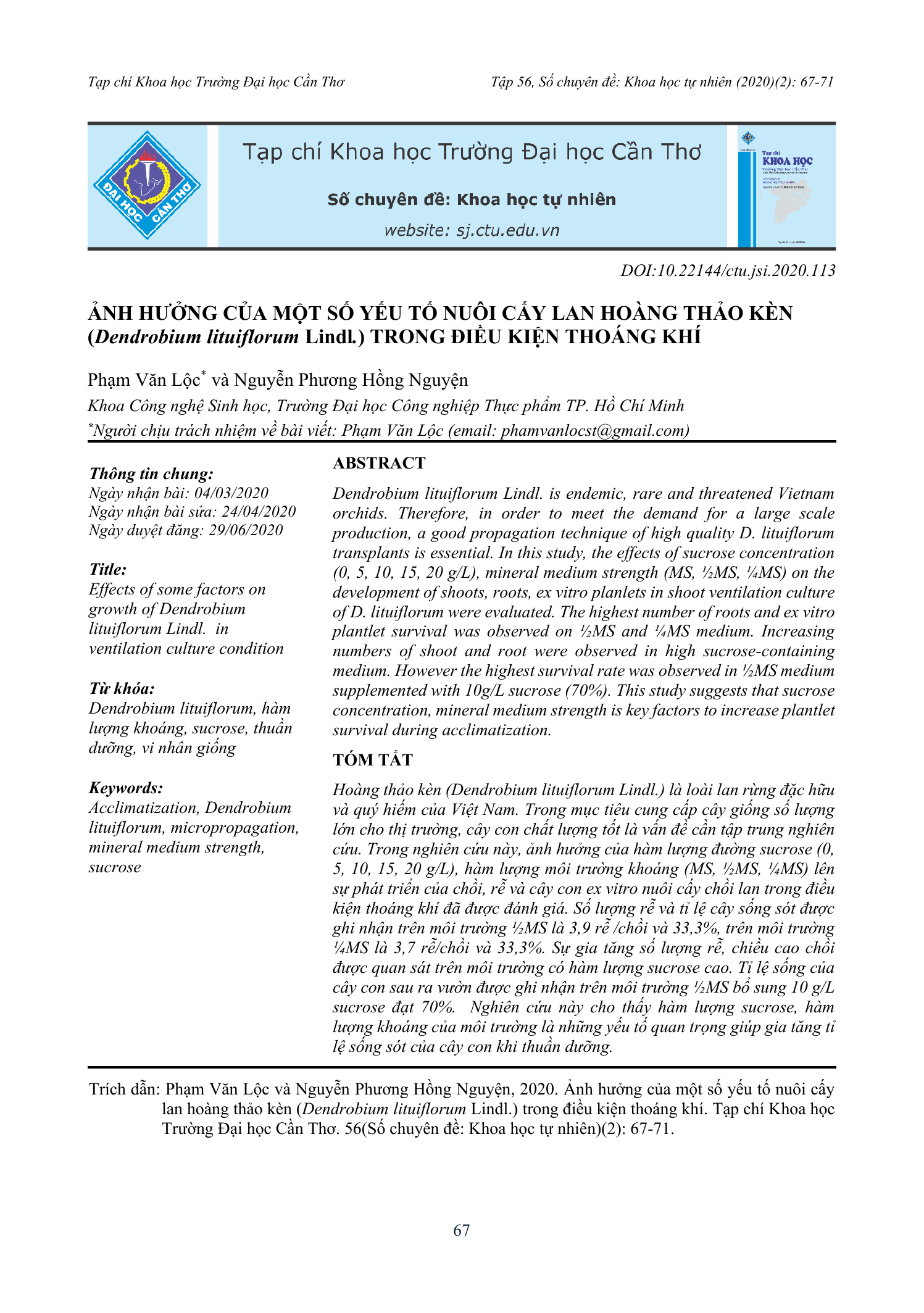Ảnh hưởng của một số yếu tố nuôi cấy lan hoàng thảo kèn (Dendrobium lituiflorum Lindl.) trong điều kiện thoáng khí