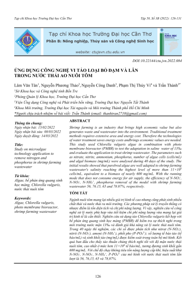 Ứng dụng công nghệ vi tảo loại bỏ đạm và lân trong nước thải ao nuôi tôm