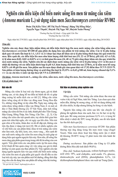 Nghiên cứu điều kiện chế biến nước uống lên men từ mãng cầu xiêm (Annona muricata L.) sử dụng nấm men Saccharomyces cerevisiae RV002