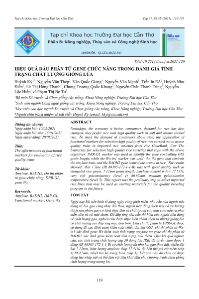 Hiệu quả dấu phân tử gene chức năng trong đánh giá tính trạng chất lượng giống lúa