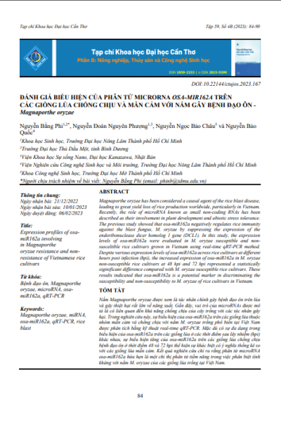 Đánh giá biểu hiện của phân tử Microrna Osa-mir162a trên các giống lúa chống chịu và mẫn cảm với nấm gây bệnh đạo ôn - Magnaporthe oryzae