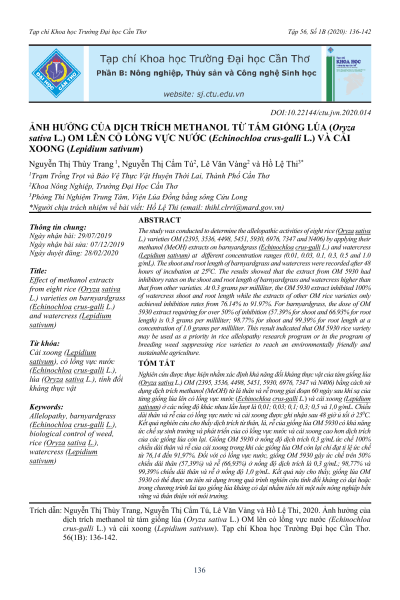 Ảnh hưởng của dịch trích methanol từ tám giống lúa (Oryza sativa L.) OM lên cỏ lồng vực nước (Echinochloa crus-galli L.) và cải xoong (Lepidium sativum)