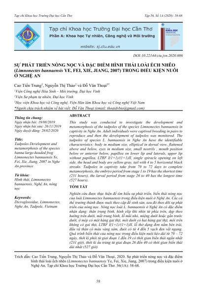 Sự phát triển nòng nọc và đặc điểm hình thái loài ếch nhẽo (Limnonectes bannaensis) trong điều kiện nuôi ở Nghệ An