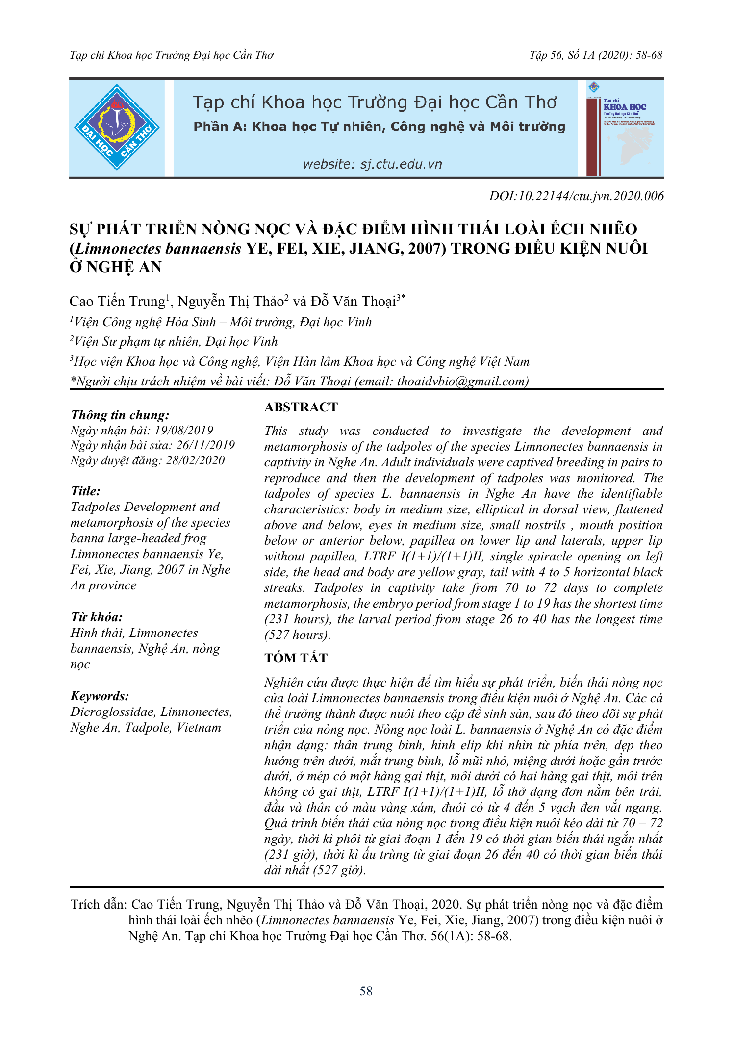 Sự phát triển nòng nọc và đặc điểm hình thái loài ếch nhẽo (Limnonectes bannaensis) trong điều kiện nuôi ở Nghệ An
