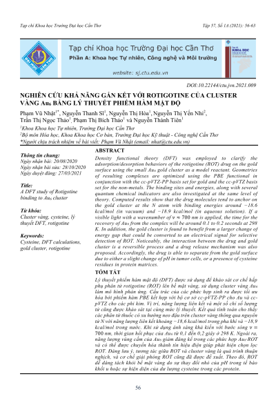 Nghiên cứu khả năng gắn kết với rotigotine của cluster vàng Au6 bằng lý thuyết phiếm hàm mật độ
