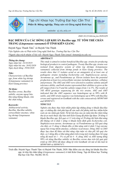 Đặc điểm của các dòng lợi khuẩn Bacillus spp. từ tôm thẻ chân trắng (Litopenaeus vannamei) ở tỉnh Kiên Giang