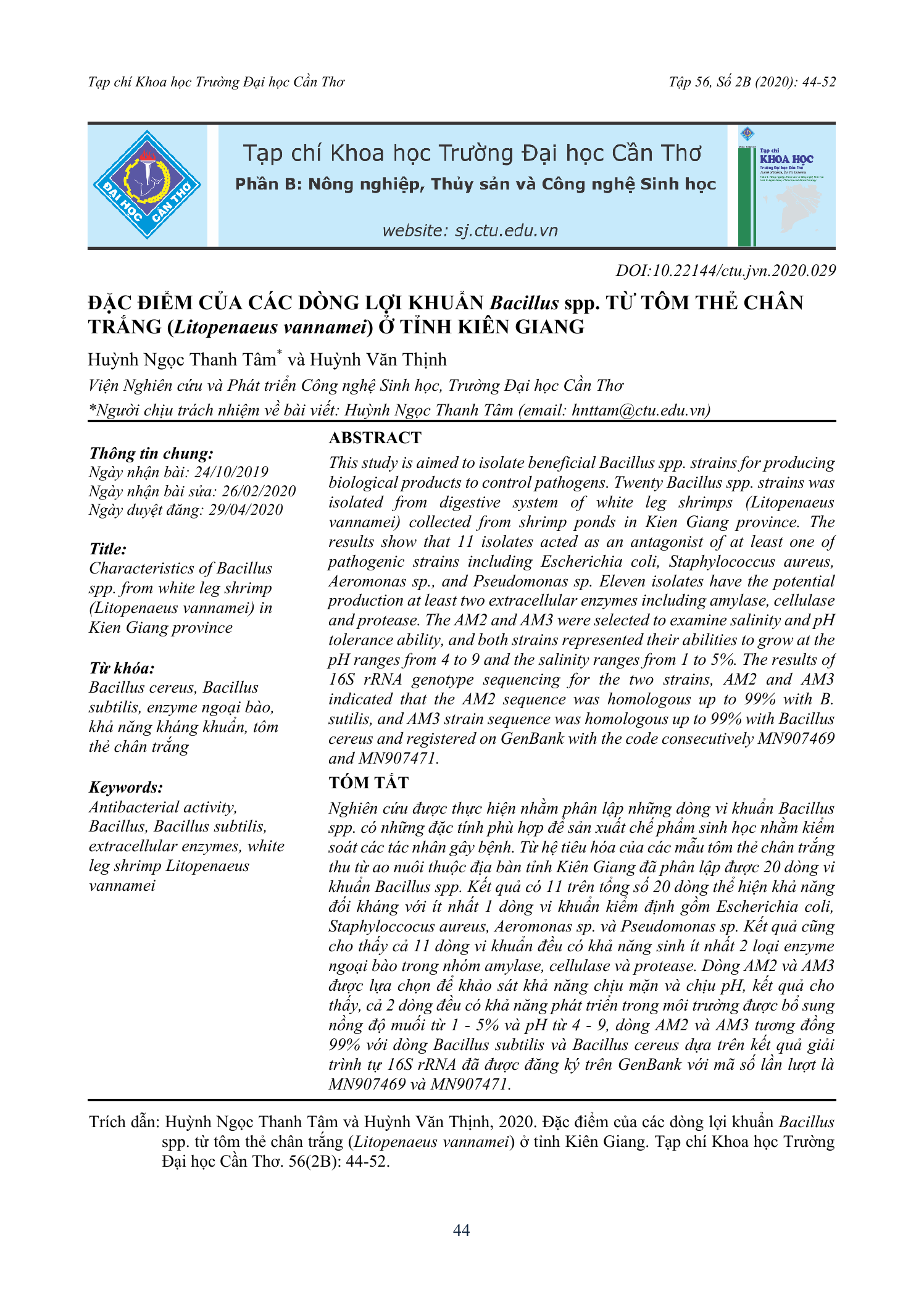 Đặc điểm của các dòng lợi khuẩn Bacillus spp. từ tôm thẻ chân trắng (Litopenaeus vannamei) ở tỉnh Kiên Giang