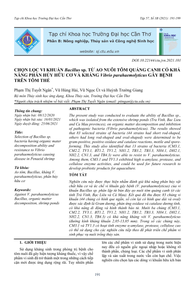 Chọn lọc vi khuẩn Bacillus sp. từ ao nuôi tôm quảng canh có khả năng phân hủy hữu cơ và kháng Vibrio parahaemolyticus gây bệnh trên tôm thẻ
