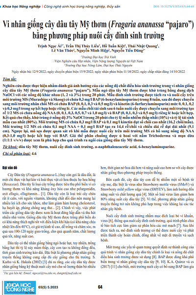 Vi nhân giống cây dâu tây Mỹ thơm (Fragaria ananassa “pajaro”) bằng phương pháp nuôi cấy đỉnh sinh trưởng