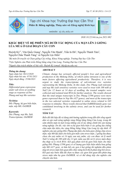 Khác biệt về hệ phiên mã dưới tác động của mặn lên 2 giống lúa mùa ở giai đoạn cây con