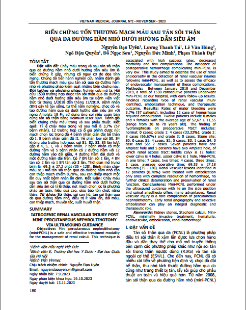 Biến chứng tổn thương mạch máu sau tán sỏi thận qua da đường hầm nhỏ dưới hướng dẫn siêu âm