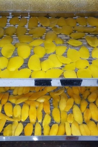 CTO - Ứng dụng công nghệ chế biến trái cây sấy dẻo để tạo các sản phẩm chế biến định hình tận dụng nguồn nguyên liệu tại thành phố Cần Thơ (2024)