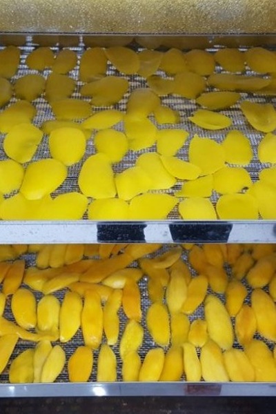 CTO - Ứng dụng công nghệ chế biến trái cây sấy dẻo để tạo các sản phẩm chế biến định hình tận dụng nguồn nguyên liệu tại thành phố Cần Thơ (2024)