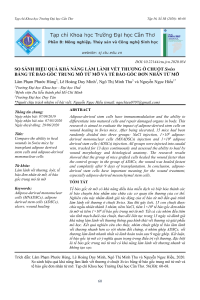 So sánh hiệu quả khả năng làm lành vết thương ở chuột Swiss bằng tế bào gốc trung mô từ mỡ và tế bào gốc đơn nhân từ mỡ