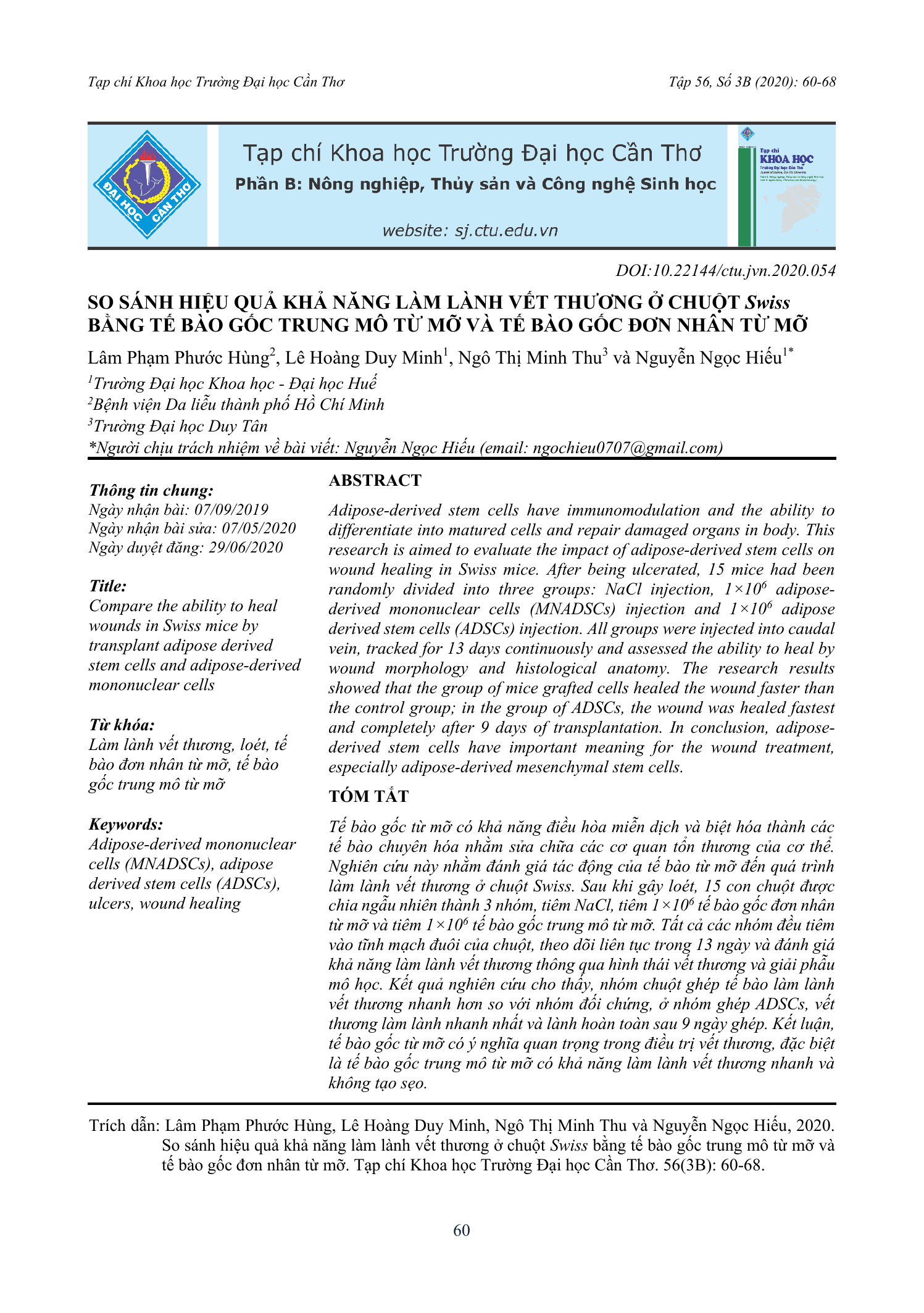 So sánh hiệu quả khả năng làm lành vết thương ở chuột Swiss bằng tế bào gốc trung mô từ mỡ và tế bào gốc đơn nhân từ mỡ