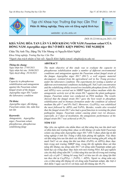 Khả năng hòa tan lân và đối kháng với nấm Fusarium solani của dòng nấm Aspergillus niger H4.7 ở điều kiện phòng thí nghiệm