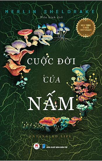 hh-bia-1-cuoc-doi-cua-nam.png